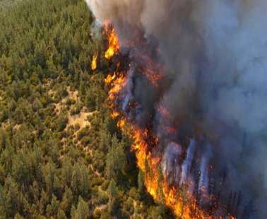 Υπό 8ημερη κράτηση ο 67χρονος για την πυρκαγιά