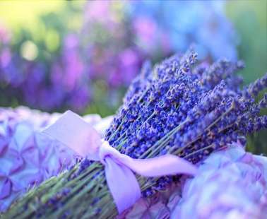 Troodos Annual Events