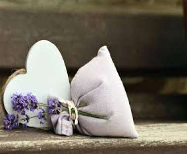 3rd International Lavender Festival in Platres