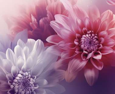 Love Shop to Host “Women’s Pleasure and Health” Event with Dr. Elena Gopchuk