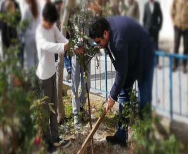 Μαθαίνουν τα παιδιά να αγαπούν το πράσινο στην Πέγεια