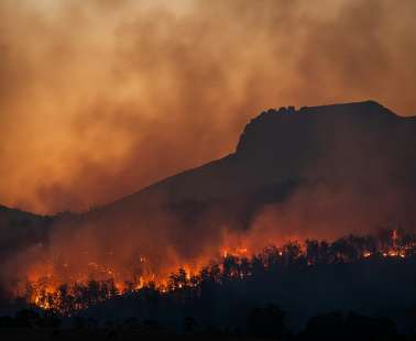 Φαρμακάς...η επόμενη μέρα