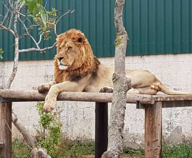 An amazing place with birds and animals from all over the world