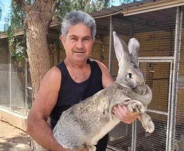 Βίντεο: Τι γίνεται με το Melios Zoo