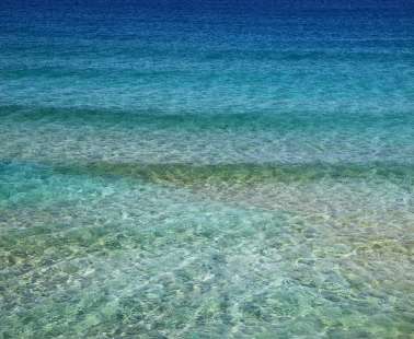 Οι Τροφές που πρέπει να Αποφεύγουμε  πριν την Παραλία