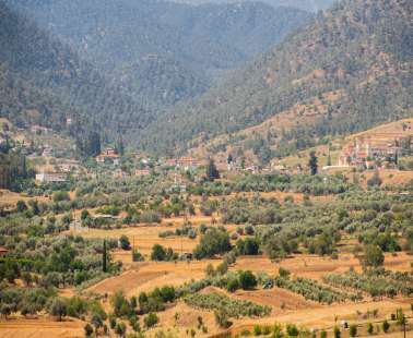 Νικητάρι 