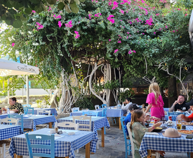 We discovered a tavern in Ayia Napa for mezedes and fresh fish all year round