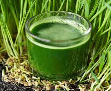 Organic Barley Grass  - the new Superfood now in Cyprus!