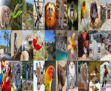 Pafos Zoo