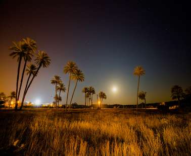 Solo Photography Exhibition by Constantinos Panayides
