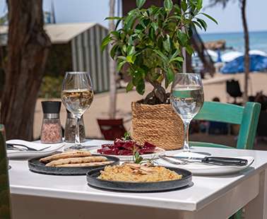 A "hidden" oasis overlooking the sea