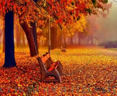November proverbs