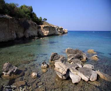 «Κάππαρης»