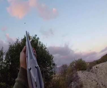 Κυνηγοί πυροβόλησαν δύο εμβληματικά αρπακτικά πουλιά