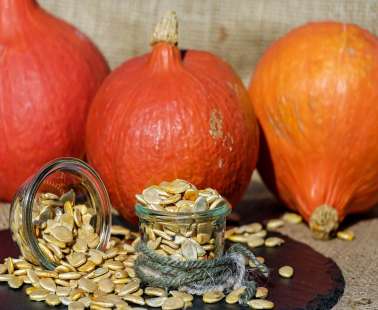 Προσθέστε τους σπόρους στη διατροφή σας!