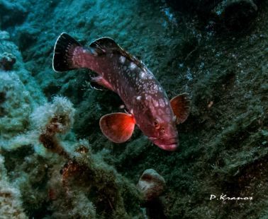 November dive in Cyprus