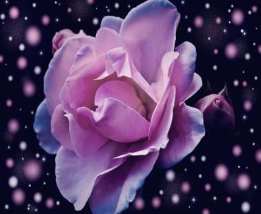 Photo exhibition, flowers, color color color !!!