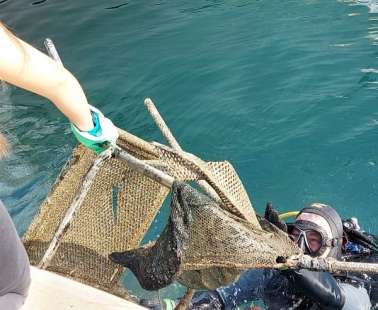 Εκστρατεία καθαρισμού βυθού και παραλίας Λάρνακας