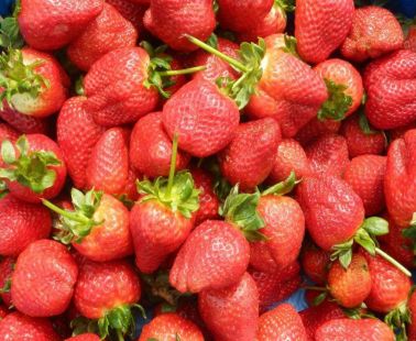 Strawberry Festival 27th of May 2016 - Deryneia