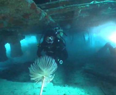 H.M.S. CRICKET WAR SHIP WRECK