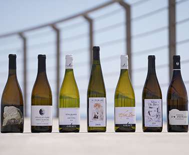 Every wine, a memory - every sip, a feeling