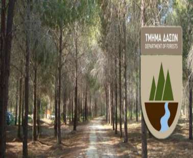 Εβδομάδα του Δέντρου με εκδηλώσεις και δωρεάν δενδρύλλια