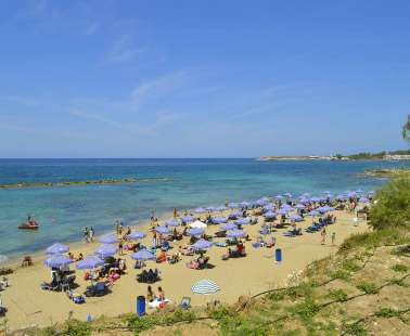 Our Beaches...Our Treasures