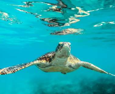 Discover a unique adventure in Ayia Napa