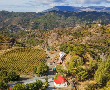 The Wine Routes of Troodos