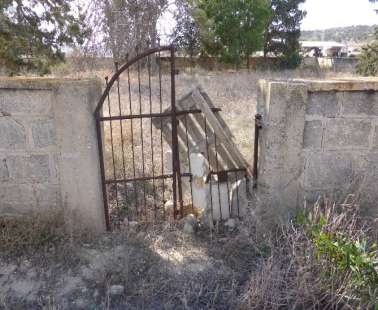 When the Cemetery Becomes Political