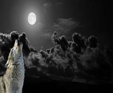 The First Full Wolf Moon 2020
