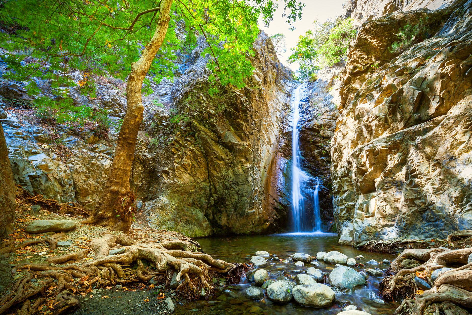 Excursions in Cyprus gallery image 3