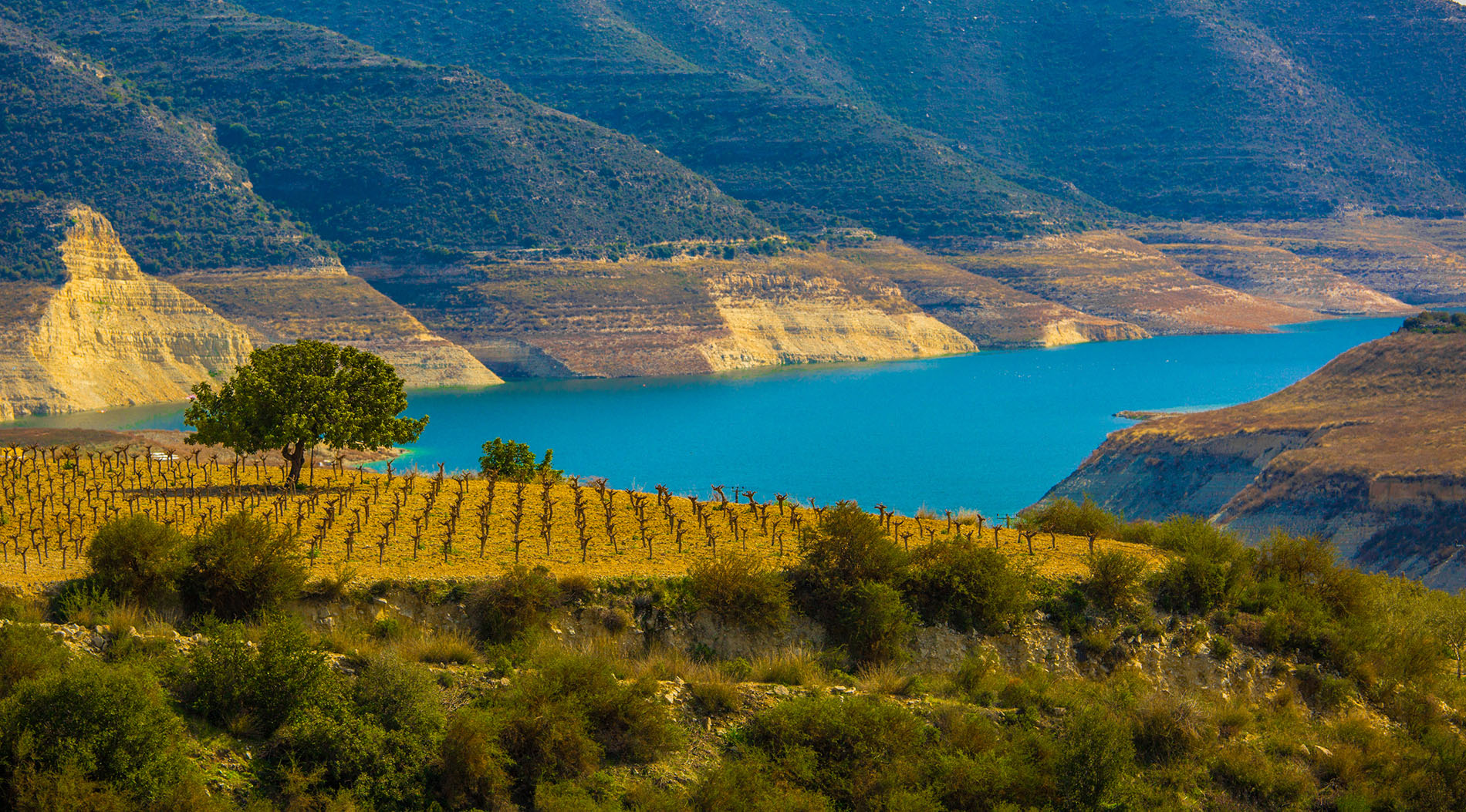 Excursions in Cyprus