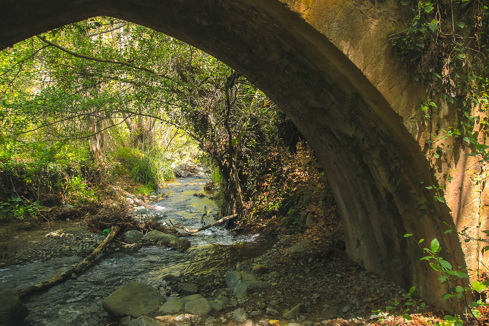 Excursions in Cyprus