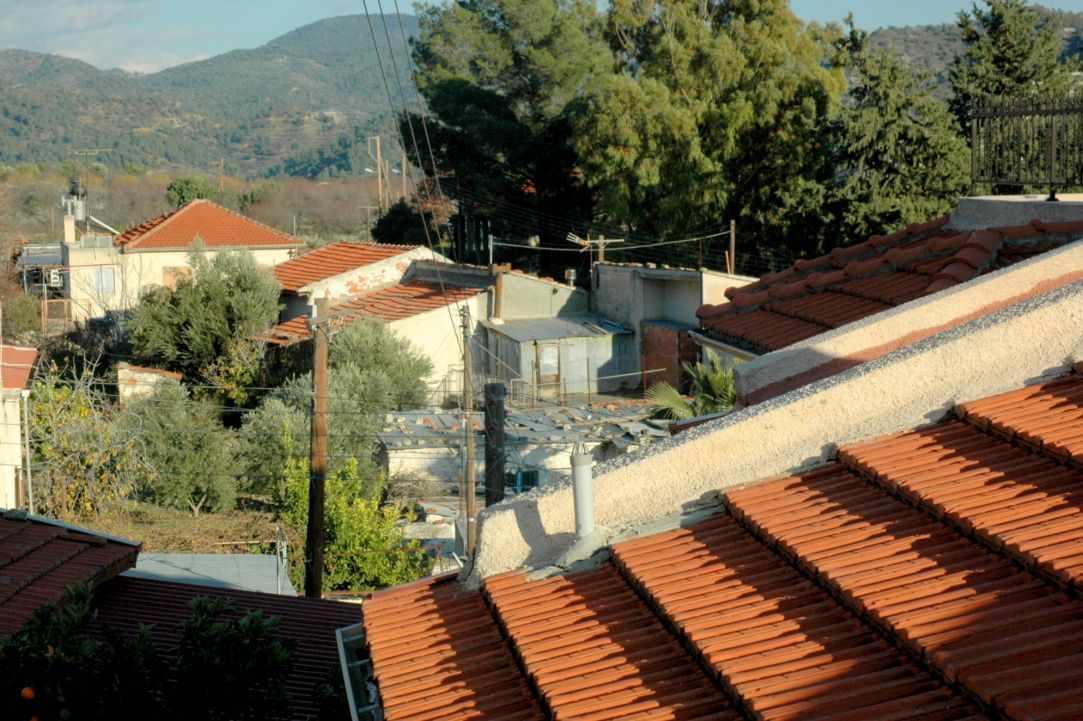 Limnatis