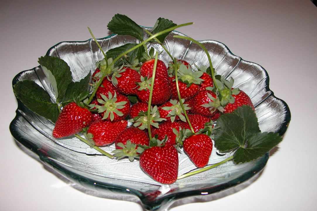 Marmellada Fraoula (Fresh Homemade Strawberry jam) gallery image 3