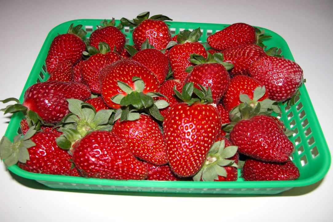Marmellada Fraoula (Fresh Homemade Strawberry jam) gallery image 4