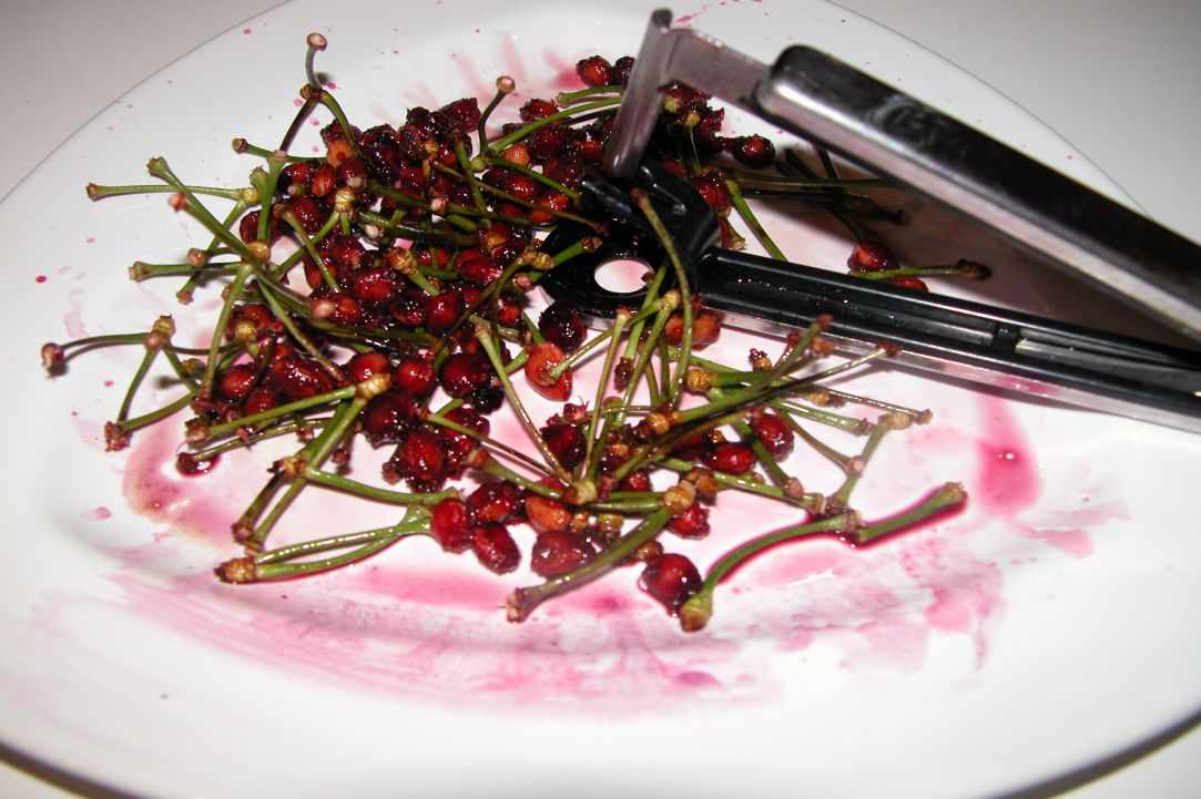 Kerasi gliko tou koutaliou(Cherry preserve)