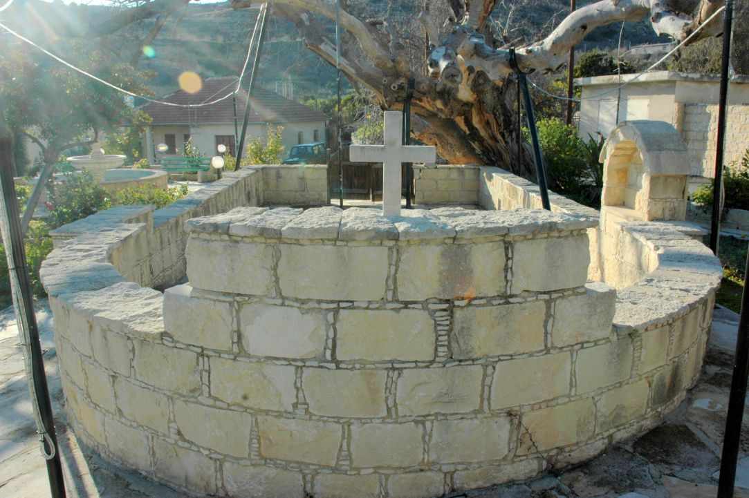 Limnatis gallery image 4