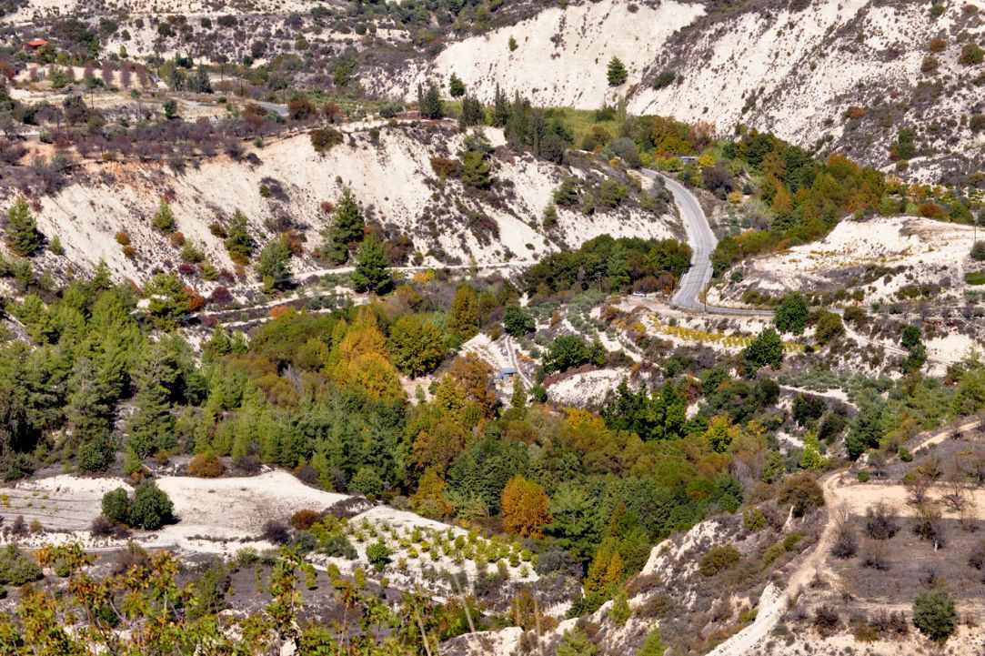 Limnatis gallery image 5