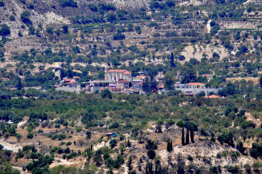 Limnatis