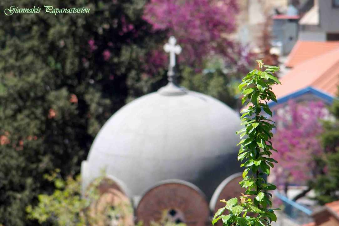 Church of Panagia Potamitissa