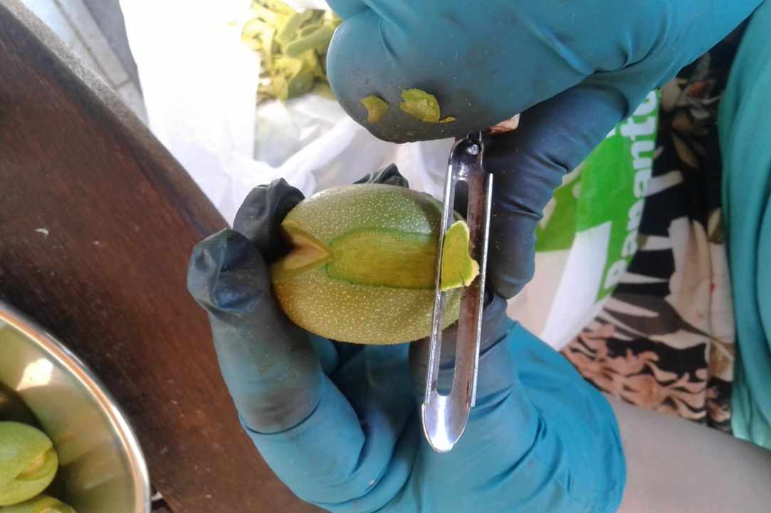 "Karidaki glyko" - sweet walnut
