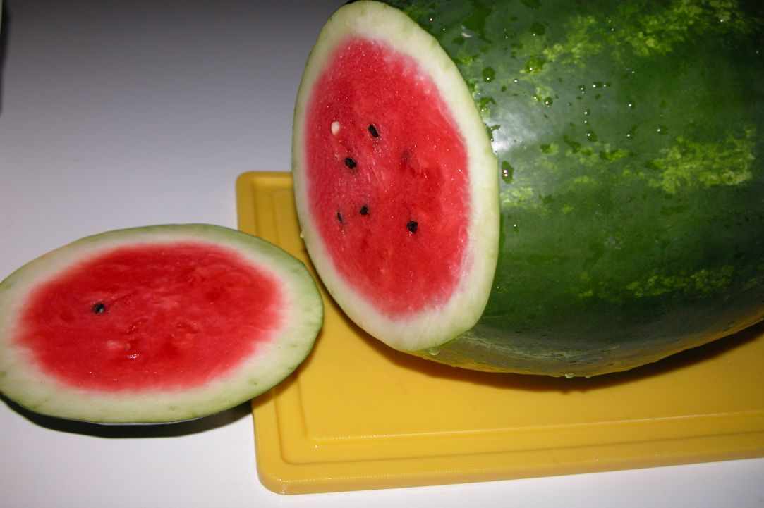 Karpouzi(Watermelon) gallery image 1