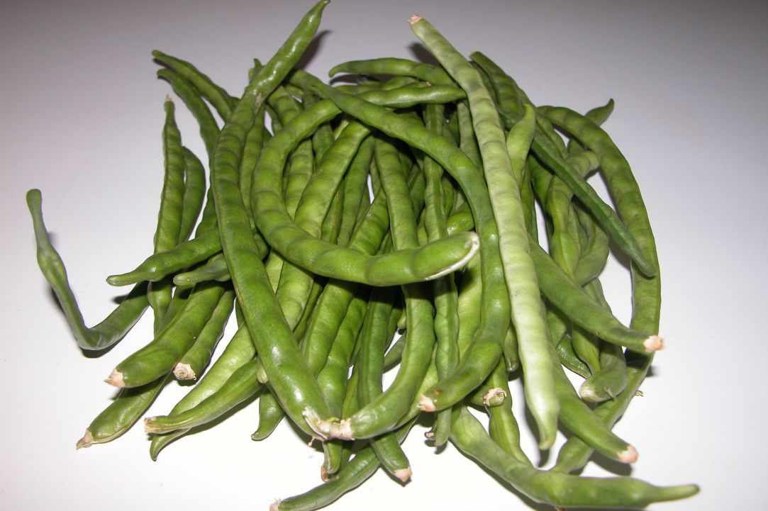 Louvi me kolokithia(Black eye beans/peas with palkapa zucchini) gallery image 2
