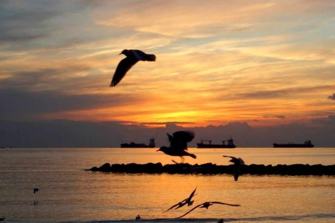 The Special Sunrise in Limassol