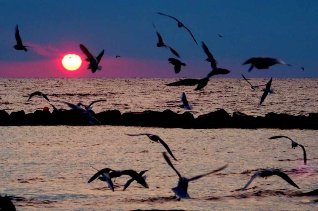 The Special Sunrise in Limassol