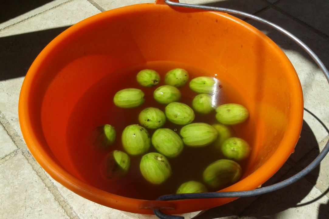 "Karidaki glyko" - sweet walnut