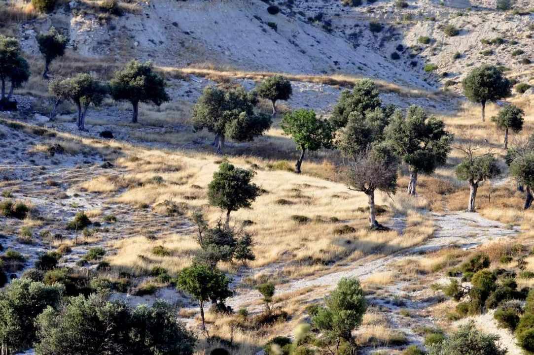 Highway A6: Limassol - Paphos