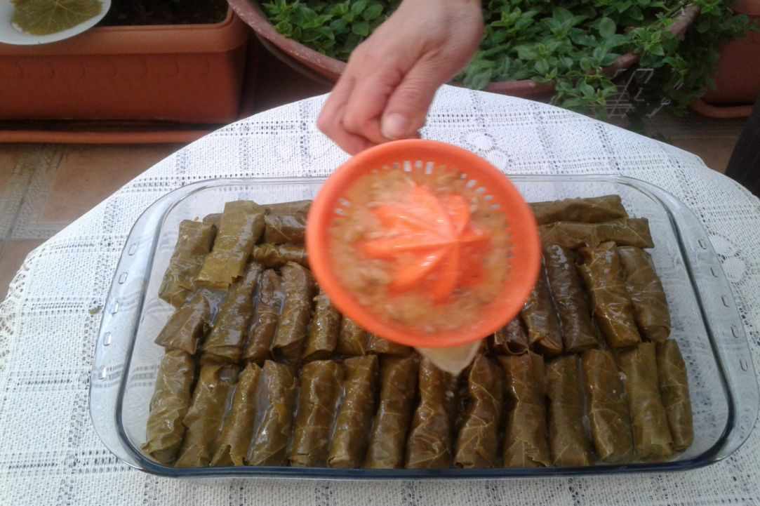 "Koupepia"